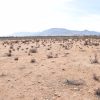 Sitio en Venta  B16 - Proyecto Loteo el Olivo - Ovalle - Imagen 12