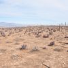 Sitio en Venta  B18 - Proyecto Loteo el Olivo - Ovalle - Imagen 6