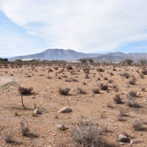 Sitio en Venta  B16 - Proyecto Loteo el Olivo - Ovalle