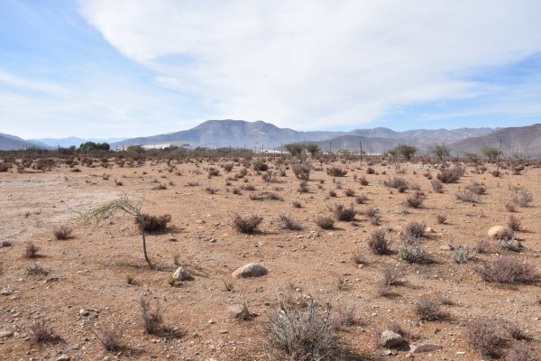 Sitio en Venta  B16 - Proyecto Loteo el Olivo - Ovalle