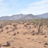 Sitio en Venta  B13 - Proyecto Loteo el Olivo - Ovalle - Imagen 5