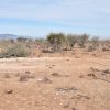 Sitio B9 - Proyecto Loteo el Olivo - Ovalle - Imagen 3