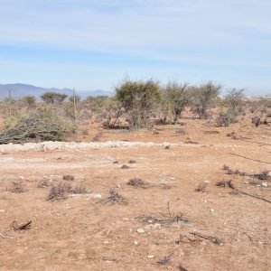 Sitio B9 - Proyecto Loteo el Olivo - Ovalle