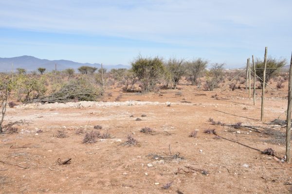 Sitio B9 - Proyecto Loteo el Olivo - Ovalle