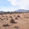 Sitio en Venta  B17 - Proyecto Loteo el Olivo - Ovalle - Imagen 5
