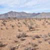 Sitio en Venta  B16 - Proyecto Loteo el Olivo - Ovalle - Imagen 3