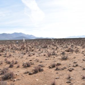 Sitio en Venta  B20 - Proyecto Loteo el Olivo - Ovalle