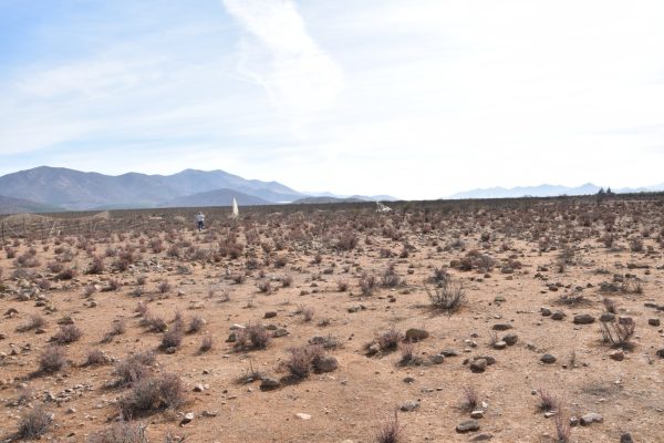 Sitio en Venta  B20 - Proyecto Loteo el Olivo - Ovalle