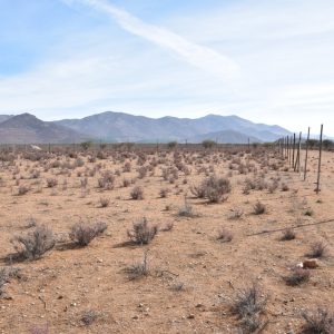 Sitio en Venta  B18 - Proyecto Loteo el Olivo - Ovalle
