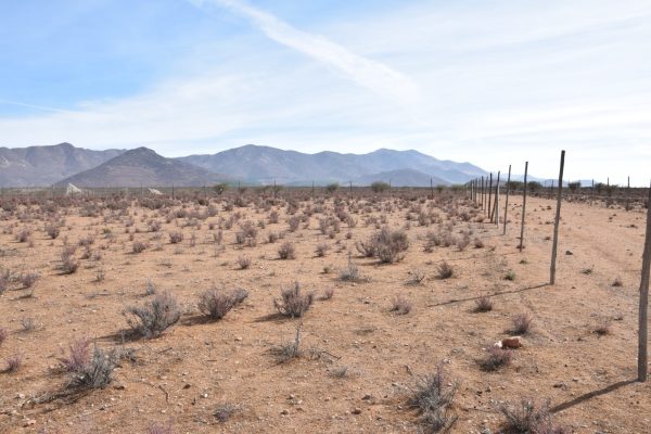 Sitio en Venta  B18 - Proyecto Loteo el Olivo - Ovalle