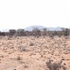 Sitio B6 - Proyecto Loteo el Olivo - Ovalle - Imagen 5