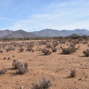 Sitio en Venta  B15 - Proyecto Loteo el Olivo - Ovalle
