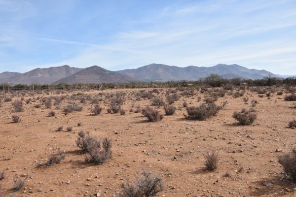 Sitio en Venta  B15 - Proyecto Loteo el Olivo - Ovalle