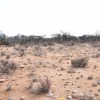 Sitio B6 - Proyecto Loteo el Olivo - Ovalle - Imagen 18