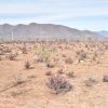 Sitio en Venta  B12 - Proyecto Loteo el Olivo - Ovalle - Imagen 7