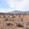 Sitio en Venta  B18 - Proyecto Loteo el Olivo - Ovalle - Imagen 8