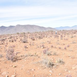 Sitio B8 - Proyecto Loteo el Olivo - Ovalle