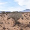 Sitio en Venta  B17 - Proyecto Loteo el Olivo - Ovalle - Imagen 7