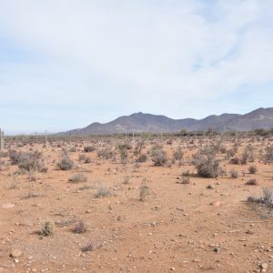 Sitio B7 - Proyecto Loteo el Olivo - Ovalle