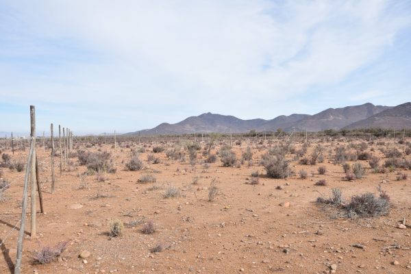 Sitio B7 - Proyecto Loteo el Olivo - Ovalle