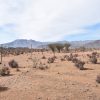 Sitio en Venta  B17 - Proyecto Loteo el Olivo - Ovalle - Imagen 4
