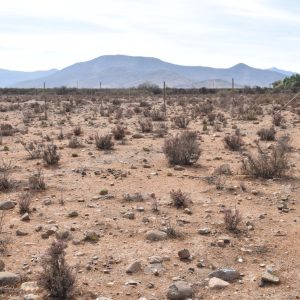 Sitio en Venta  B13 - Proyecto Loteo el Olivo - Ovalle