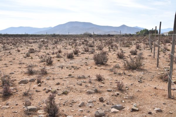 Sitio en Venta  B13 - Proyecto Loteo el Olivo - Ovalle