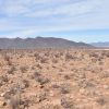 Sitio en Venta  B15 - Proyecto Loteo el Olivo - Ovalle - Imagen 7