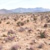 Sitio B5 - Proyecto Loteo el Olivo - Ovalle - Imagen 6
