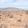 Sitio en Venta  B21 - Proyecto Loteo el Olivo - Ovalle - Imagen 12