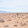 Sitio en Venta  B12 - Proyecto Loteo el Olivo - Ovalle - Imagen 11