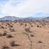 Sitio en Venta  B21 - Proyecto Loteo el Olivo - Ovalle - Imagen 10