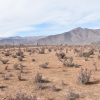 Sitio en Venta  B18 - Proyecto Loteo el Olivo - Ovalle - Imagen 9