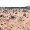 Sitio B5 - Proyecto Loteo el Olivo - Ovalle - Imagen 4