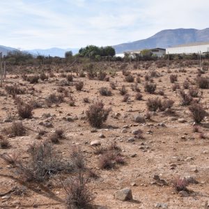 Sitio B10- Proyecto Loteo el Olivo - Ovalle