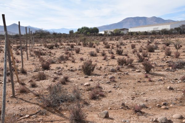 Sitio B10- Proyecto Loteo el Olivo - Ovalle