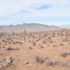Sitio en Venta  B20 - Proyecto Loteo el Olivo - Ovalle - Imagen 11