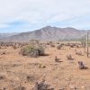 Sitio en Venta  B18 - Proyecto Loteo el Olivo - Ovalle - Imagen 11