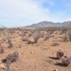 Sitio en Venta  B21 - Proyecto Loteo el Olivo - Ovalle - Imagen 3