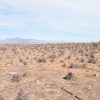 Sitio en Venta  B20 - Proyecto Loteo el Olivo - Ovalle - Imagen 10