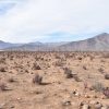 Sitio en Venta  B20 - Proyecto Loteo el Olivo - Ovalle - Imagen 13