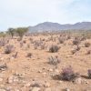 Sitio en Venta  B13 - Proyecto Loteo el Olivo - Ovalle - Imagen 7