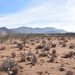 Sitio en Venta  B21 - Proyecto Loteo el Olivo - Ovalle
