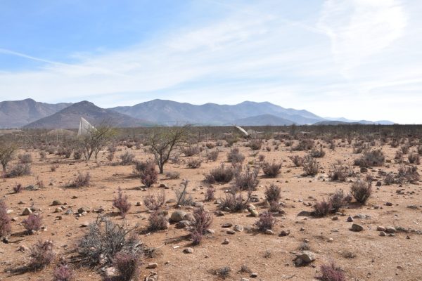 Sitio en Venta  B21 - Proyecto Loteo el Olivo - Ovalle