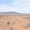 Sitio en Venta  B13 - Proyecto Loteo el Olivo - Ovalle - Imagen 6