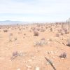 Sitio B8 - Proyecto Loteo el Olivo - Ovalle - Imagen 2