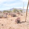 Sitio B1 - Proyecto Loteo el Olivo - Ovalle - Imagen 11