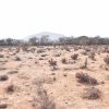Sitio B1 - Proyecto Loteo el Olivo - Ovalle - Imagen 9