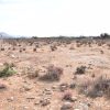 Sitio B1 - Proyecto Loteo el Olivo - Ovalle - Imagen 7