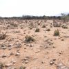 Sitio B4 - Proyecto Loteo el Olivo - Ovalle - Imagen 12